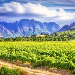 route du vins alsace chauffeur privé